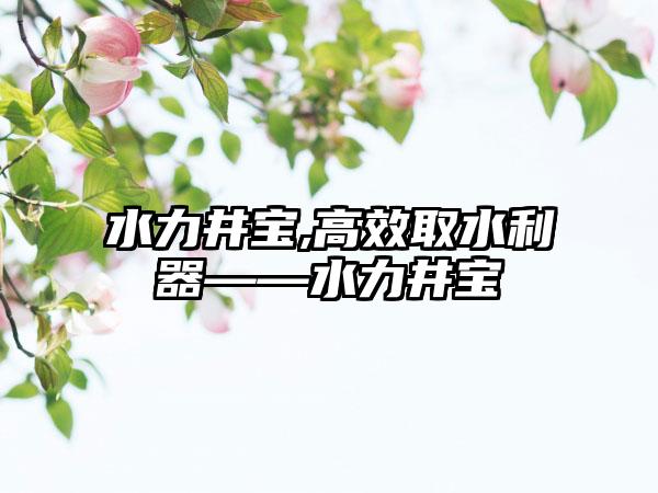 水力井宝,高效取水利器——水力井宝