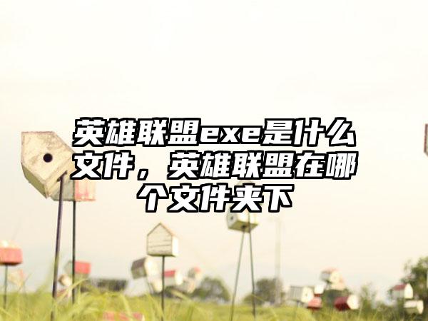 英雄联盟exe是什么文件，英雄联盟在哪个文件夹下