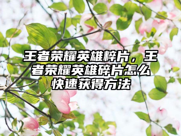 王者荣耀英雄粹片，王者荣耀英雄碎片怎么快速获得方法