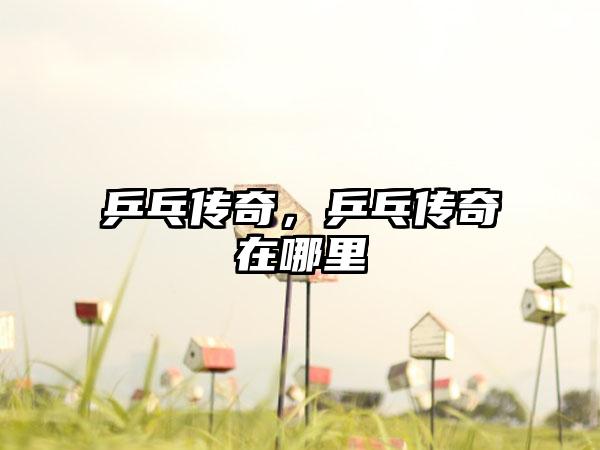 乒乓传奇，乒乓传奇在哪里