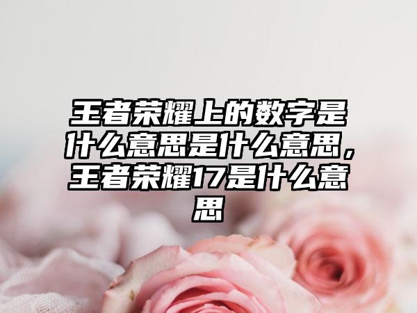 王者荣耀上的数字是什么意思是什么意思，王者荣耀17是什么意思