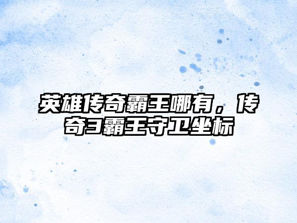 英雄传奇霸王哪有，传奇3霸王守卫坐标