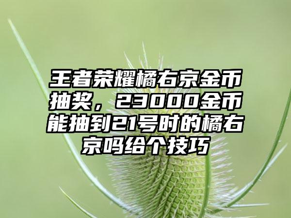 王者荣耀橘右京金币抽奖，23000金币能抽到21号时的橘右京吗给个技巧