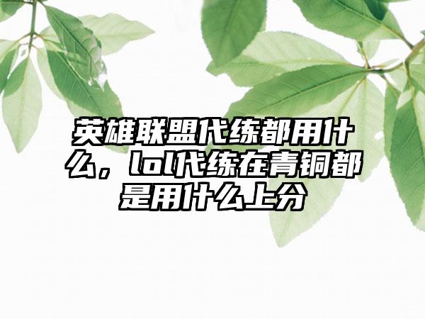 英雄联盟代练都用什么，lol代练在青铜都是用什么上分