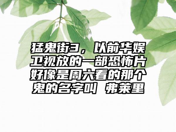 猛鬼街3，以前华娱卫视放的一部恐怖片好像是周六看的那个鬼的名字叫 弗莱里