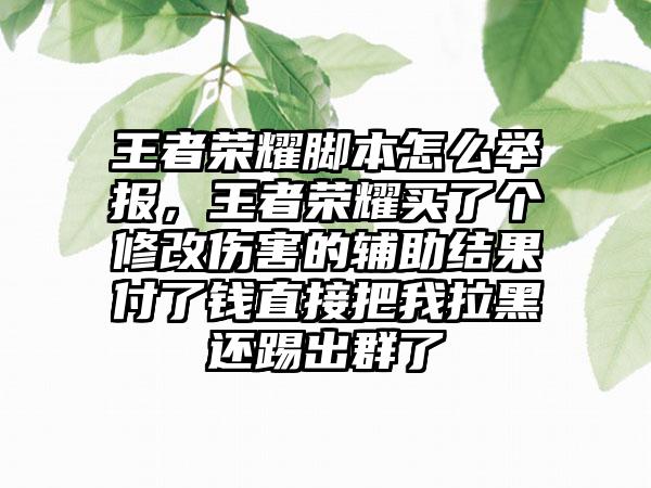 王者荣耀脚本怎么举报，王者荣耀买了个修改伤害的辅助结果付了钱直接把我拉黑还踢出群了