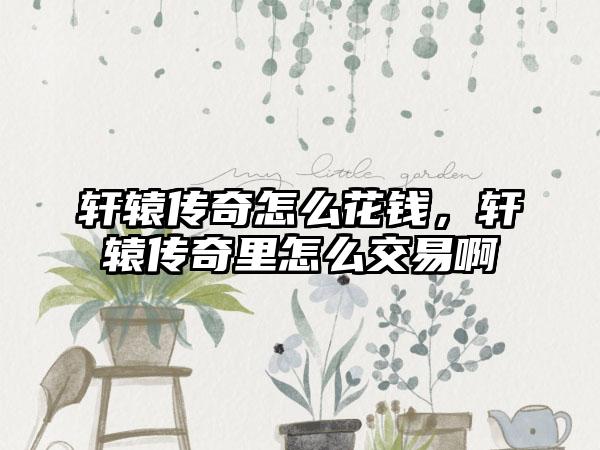 轩辕传奇怎么花钱，轩辕传奇里怎么交易啊