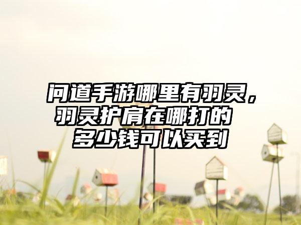 问道手游哪里有羽灵，羽灵护肩在哪打的 多少钱可以买到