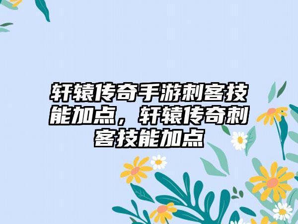 轩辕传奇手游刺客技能加点，轩辕传奇刺客技能加点