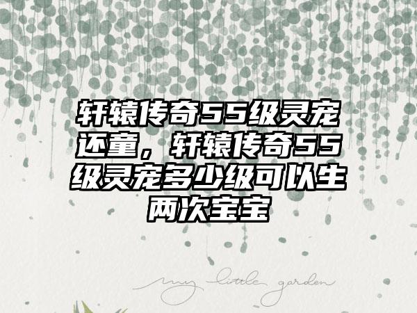 轩辕传奇55级灵宠还童，轩辕传奇55级灵宠多少级可以生两次宝宝