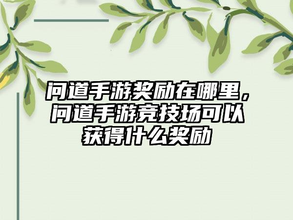 问道手游奖励在哪里，问道手游竞技场可以获得什么奖励