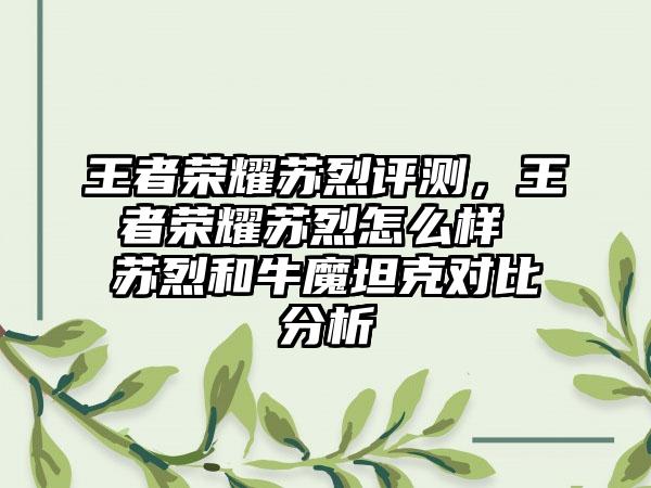 王者荣耀苏烈评测，王者荣耀苏烈怎么样 苏烈和牛魔坦克对比分析