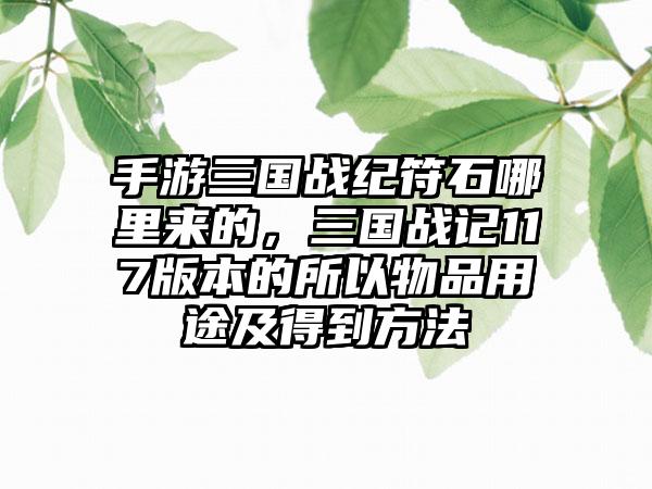 手游三国战纪符石哪里来的，三国战记117版本的所以物品用途及得到方法