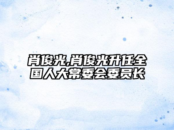 肖俊光,肖俊光升任全国人大常委会委员长