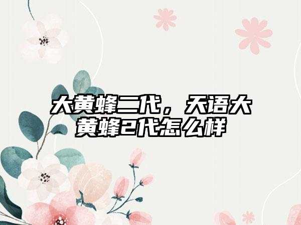 大黄蜂二代,天语大黄蜂2代怎么样