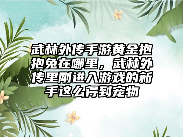 武林外传手游黄金抱抱兔在哪里，武林外传里刚进入游戏的新手这么得到宠物