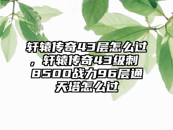 轩辕传奇43层怎么过，轩辕传奇43级刺 8500战力96层通天塔怎么过