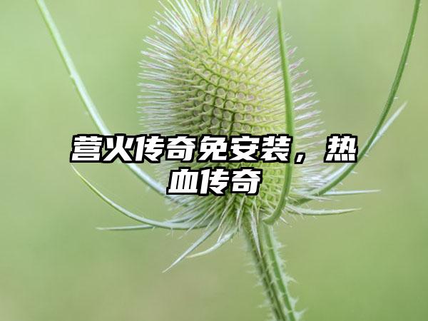 营火传奇免安装，热血传奇