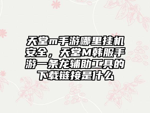 天堂m手游哪里挂机安全，天堂M韩服手游一条龙辅助工具的下载链接是什么