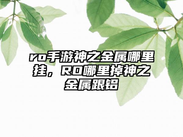 ro手游神之金属哪里挂，RO哪里掉神之金属跟铝