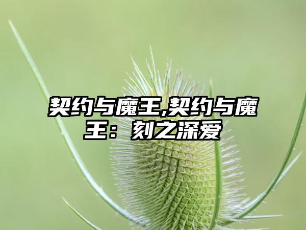 契约与魔王,契约与魔王：刻之深爱