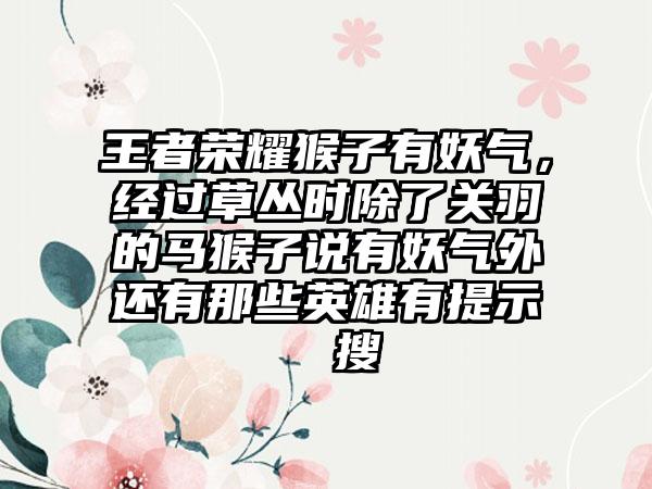 王者荣耀猴子有妖气，经过草丛时除了关羽的马猴子说有妖气外还有那些英雄有提示  搜