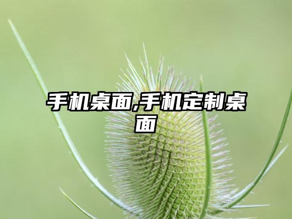 手机桌面,手机定制桌面