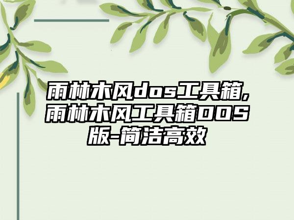 雨林木风dos工具箱,雨林木风工具箱DOS版-简洁高效