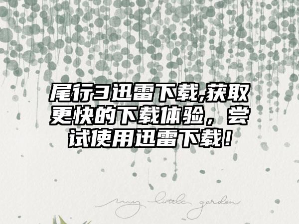 尾行3迅雷下载,获取更快的下载体验，尝试使用迅雷下载！