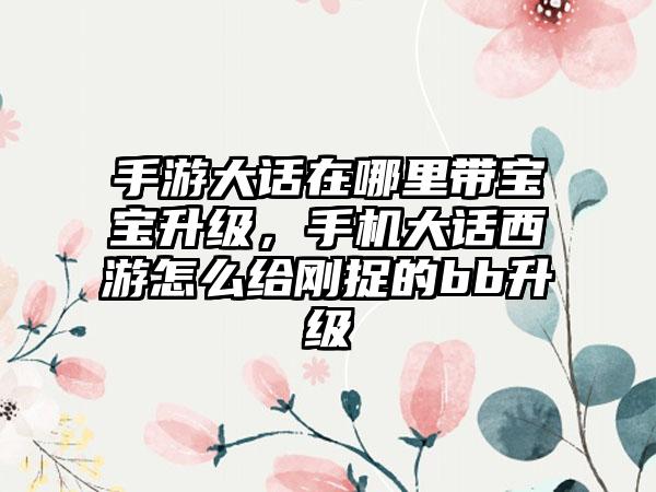 手游大话在哪里带宝宝升级，手机大话西游怎么给刚捉的bb升级