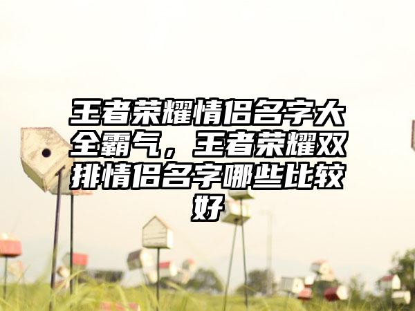 王者荣耀情侣名字大全霸气，王者荣耀双排情侣名字哪些比较好