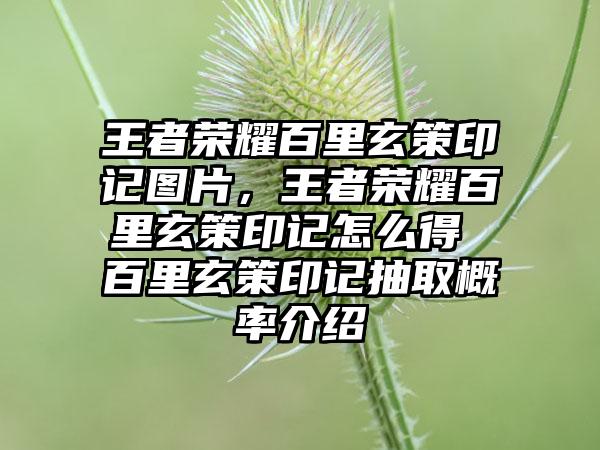 王者荣耀百里玄策印记图片，王者荣耀百里玄策印记怎么得 百里玄策印记抽取概率介绍