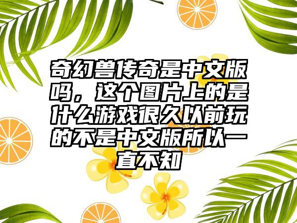 奇幻兽传奇是中文版吗，这个图片上的是什么游戏很久以前玩的不是中文版所以一直不知