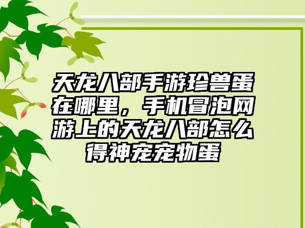 天龙八部手游珍兽蛋在哪里，手机冒泡网游上的天龙八部怎么得神宠宠物蛋