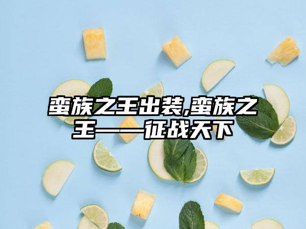 蛮族之王出装,蛮族之王——征战天下