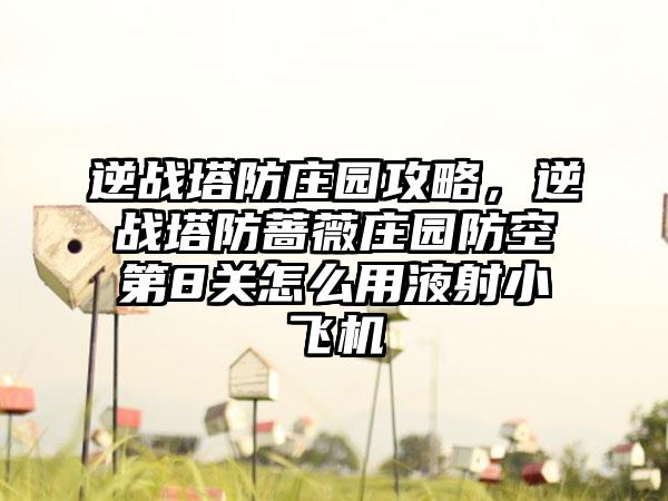 逆战塔防庄园攻略，逆战塔防蔷薇庄园防空第8关怎么用液射小飞机