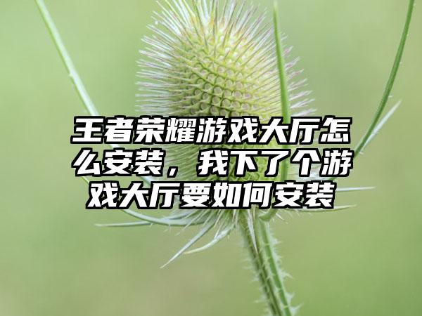 王者荣耀游戏大厅怎么安装，我下了个游戏大厅要如何安装