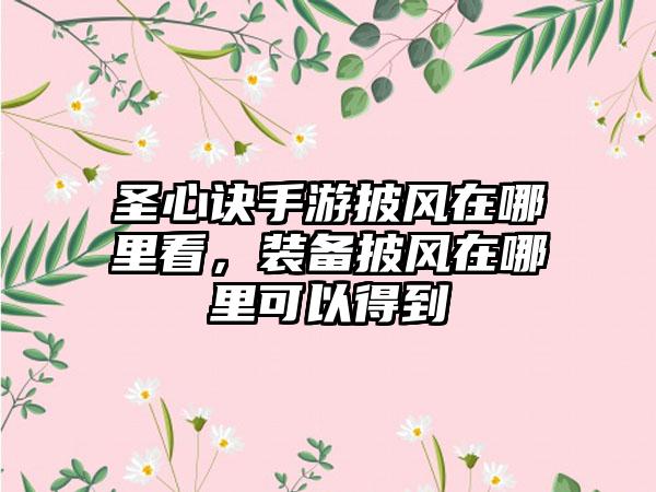 圣心诀手游披风在哪里看，装备披风在哪里可以得到