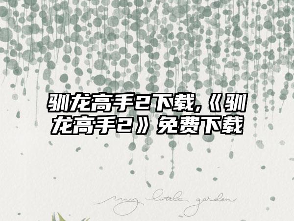 驯龙高手2下载,《驯龙高手2》免费下载