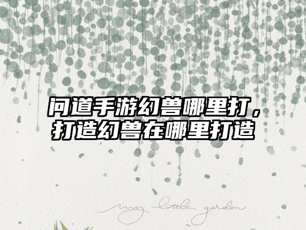 问道手游幻兽哪里打，打造幻兽在哪里打造