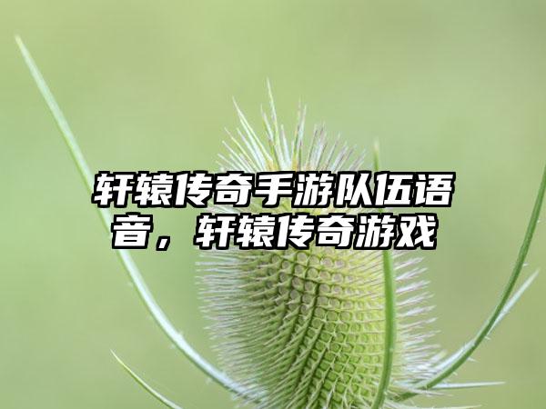 轩辕传奇手游队伍语音，轩辕传奇游戏