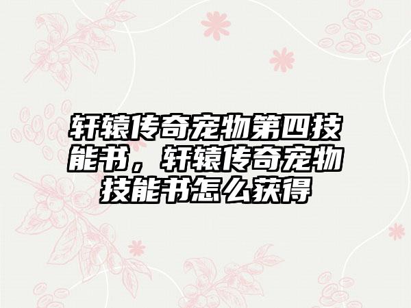轩辕传奇宠物第四技能书，轩辕传奇宠物技能书怎么获得