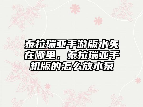 泰拉瑞亚手游版水矢在哪里，泰拉瑞亚手机版的怎么放水泵