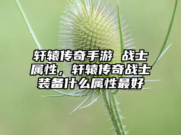 轩辕传奇手游 战士属性，轩辕传奇战士装备什么属性最好