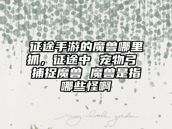 征途手游的魔兽哪里抓，征途中 宠物弓 捕捉魔兽 魔兽是指哪些怪啊