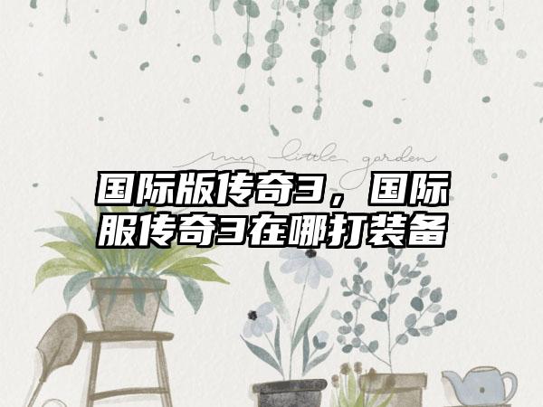 国际版传奇3，国际服传奇3在哪打装备