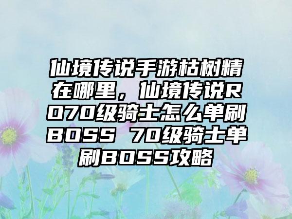 仙境传说手游枯树精在哪里，仙境传说RO70级骑士怎么单刷BOSS 70级骑士单刷BOSS攻略
