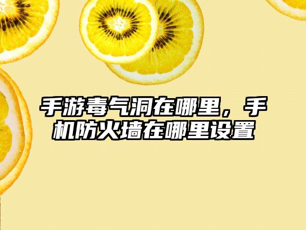 手游毒气洞在哪里，手机防火墙在哪里设置