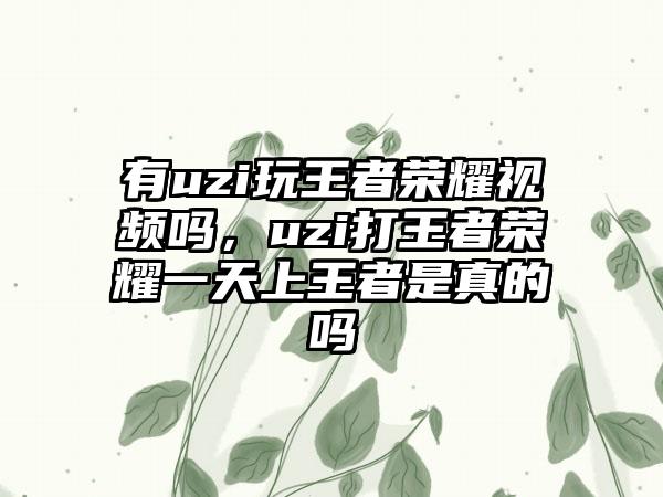 有uzi玩王者荣耀视频吗,uzi打王者荣耀一天上王者是真的吗