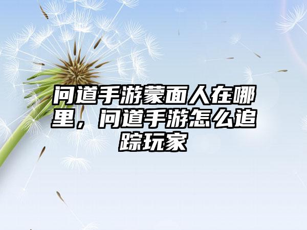 问道手游蒙面人在哪里，问道手游怎么追踪玩家